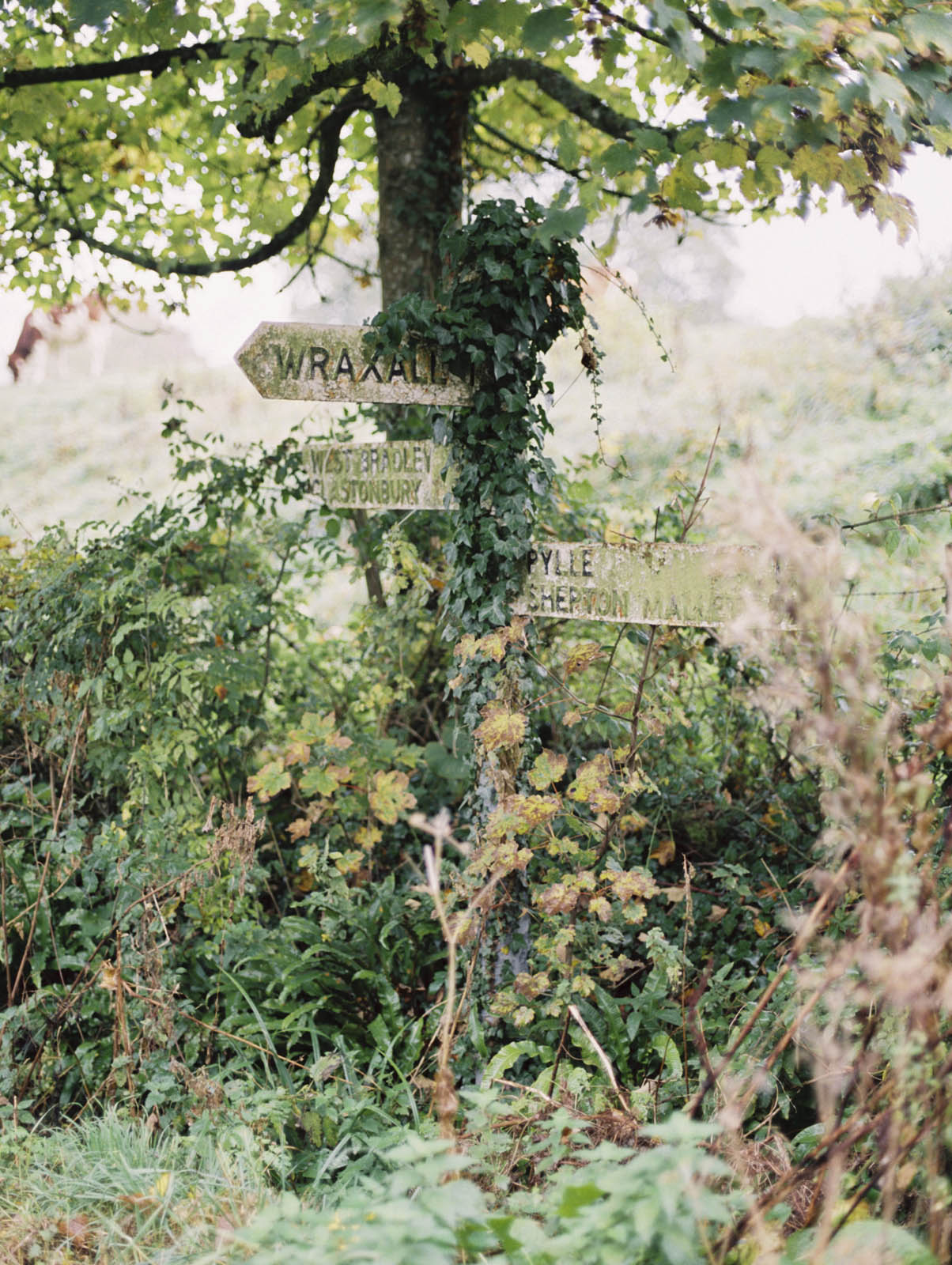 Pennard sign post