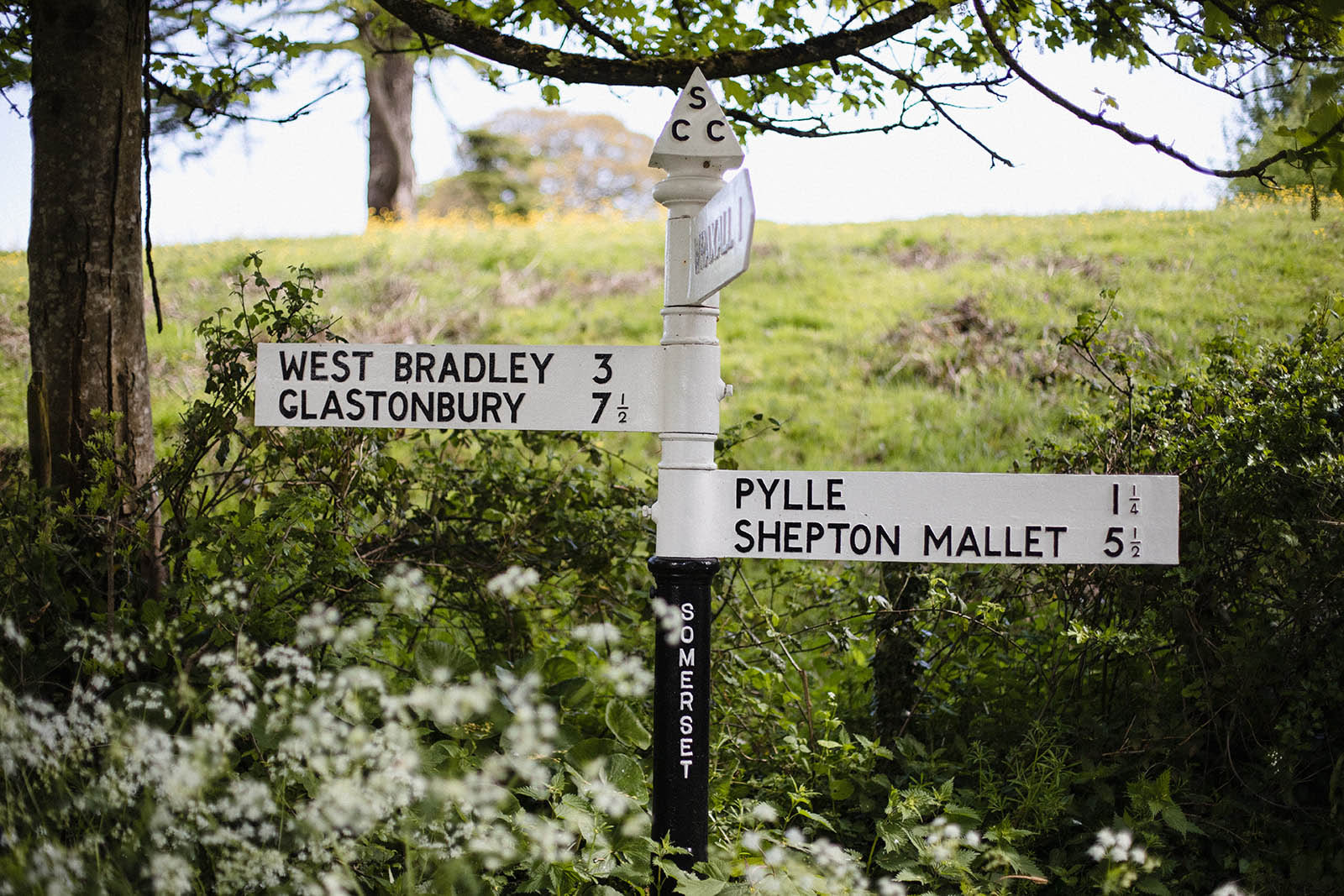 Wedding venue signpost