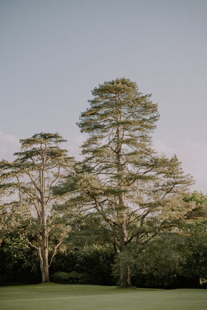 Pennard House grounds