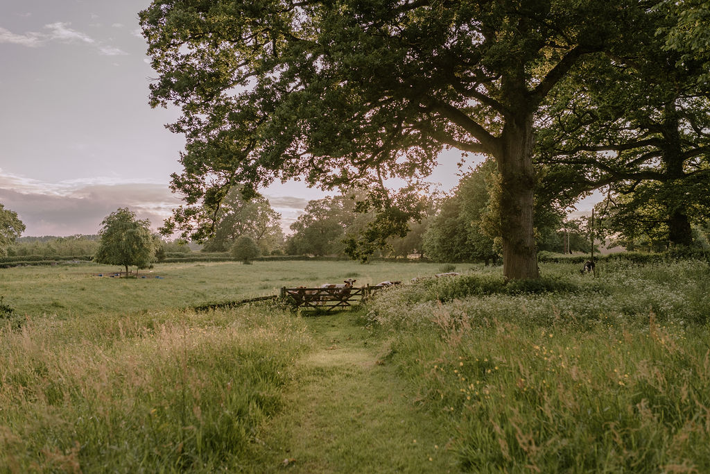 Pennard House grounds